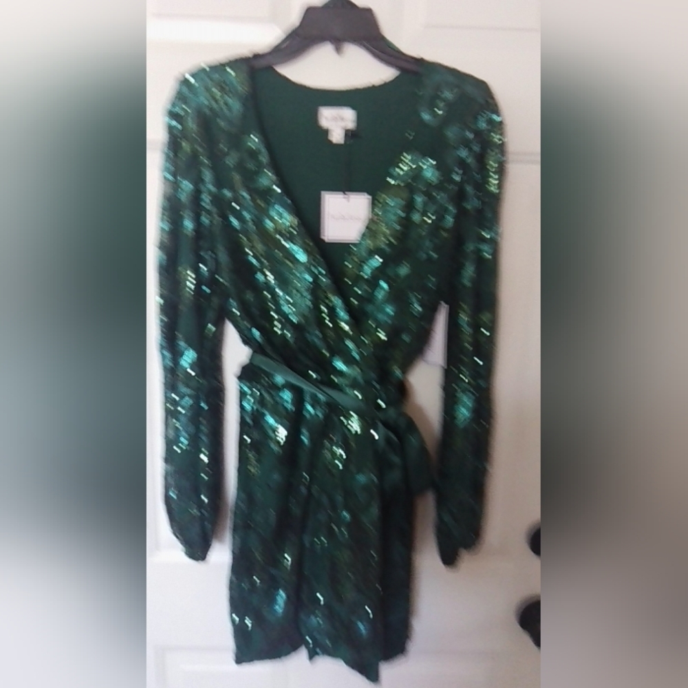 Premier Shimmering Green Long Sleeve Dress